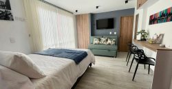 Apartaestudio amoblado, Quinta Paredes